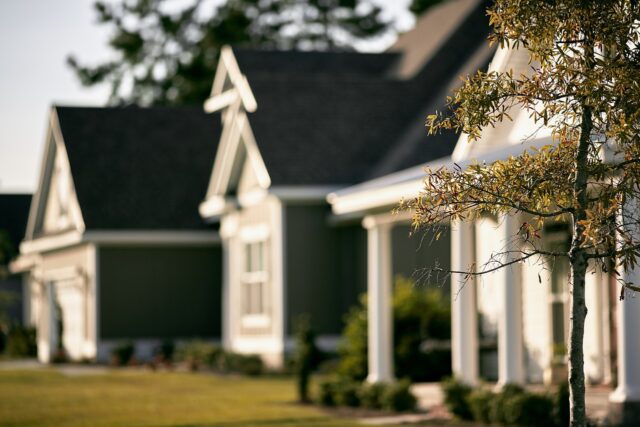 A row of suburban houses with a focus on a small tree in the foreground. The houses have dark exteriors with white trim, and the sun casts a warm light, highlighting the peaceful residential neighborhood.
