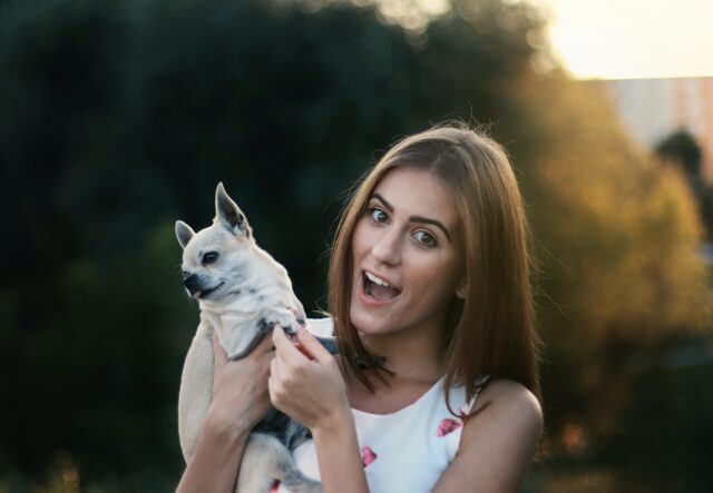 pet with owner